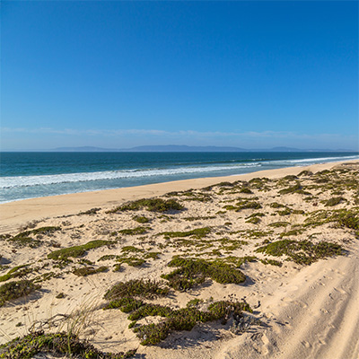 Sandy dunes with low scrub and surf along the beach at Comporta, Portugal